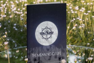 the meaning of life picture